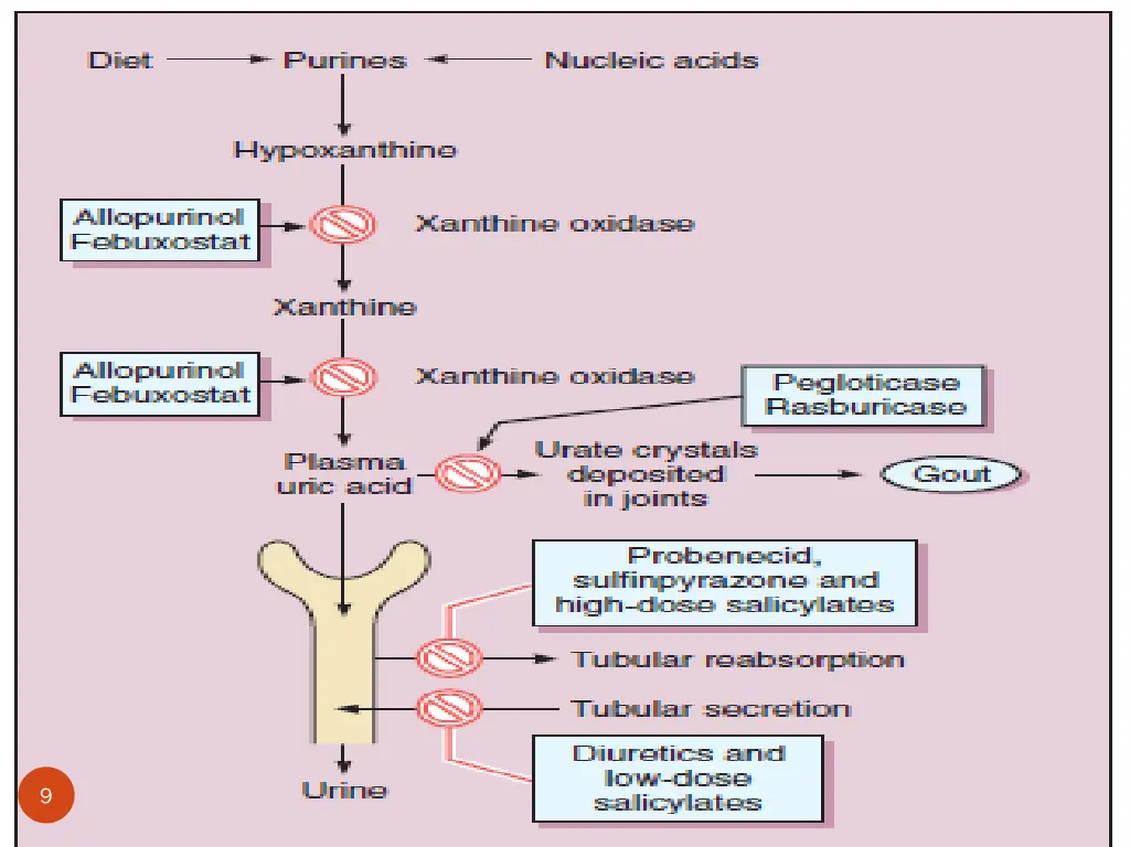 slide9