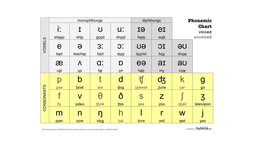 slide8