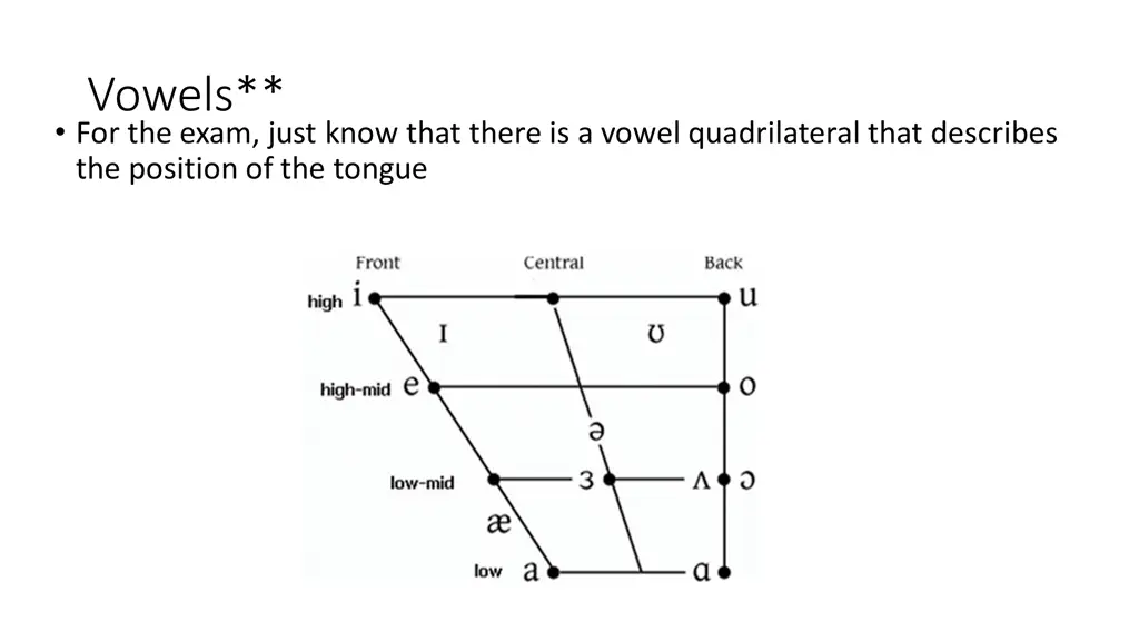 vowels for the exam just know that there