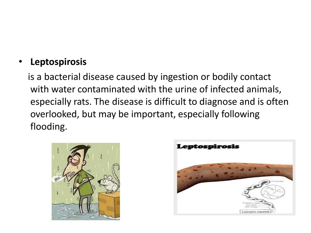 leptospirosis is a bacterial disease caused