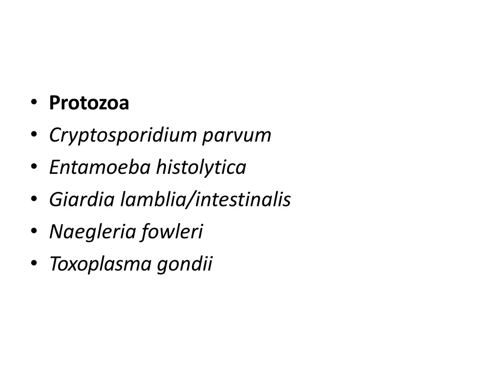 protozoa cryptosporidium parvum entamoeba