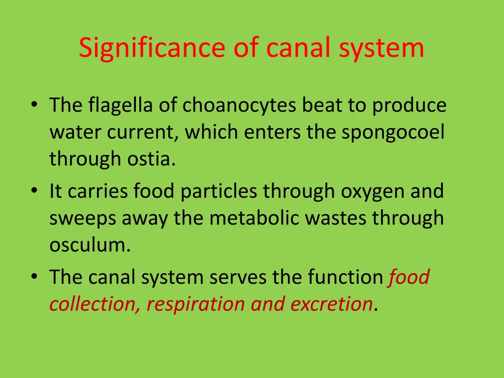 significance of canal system