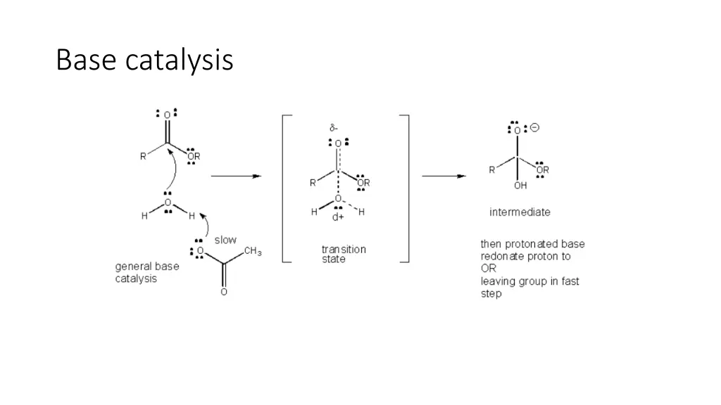 base catalysis