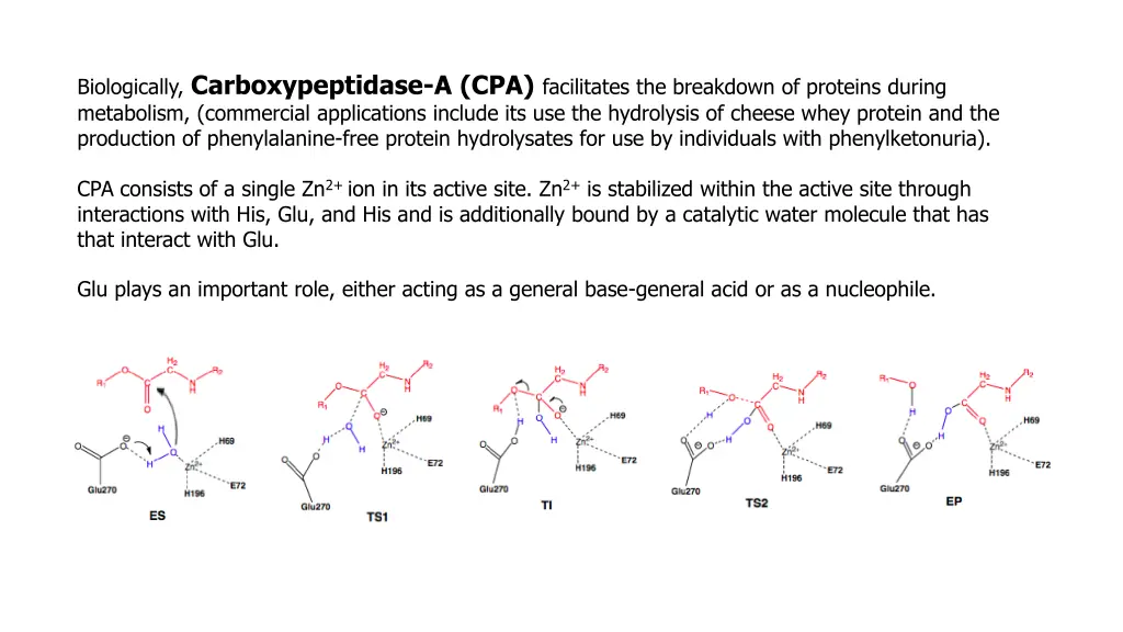 biologically carboxypeptidase a cpa facilitates