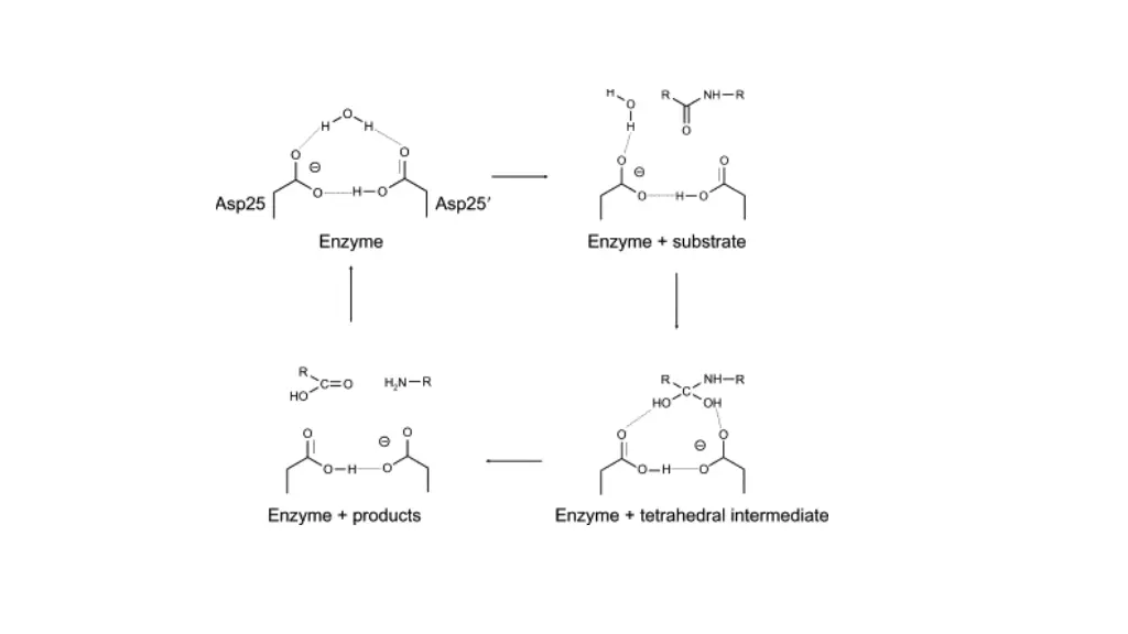 slide11