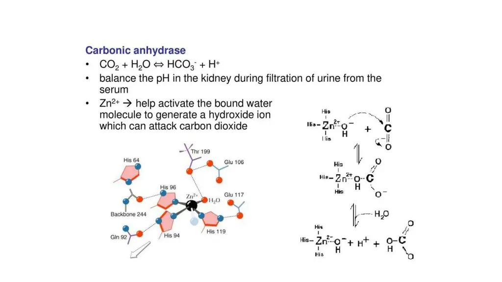 slide15