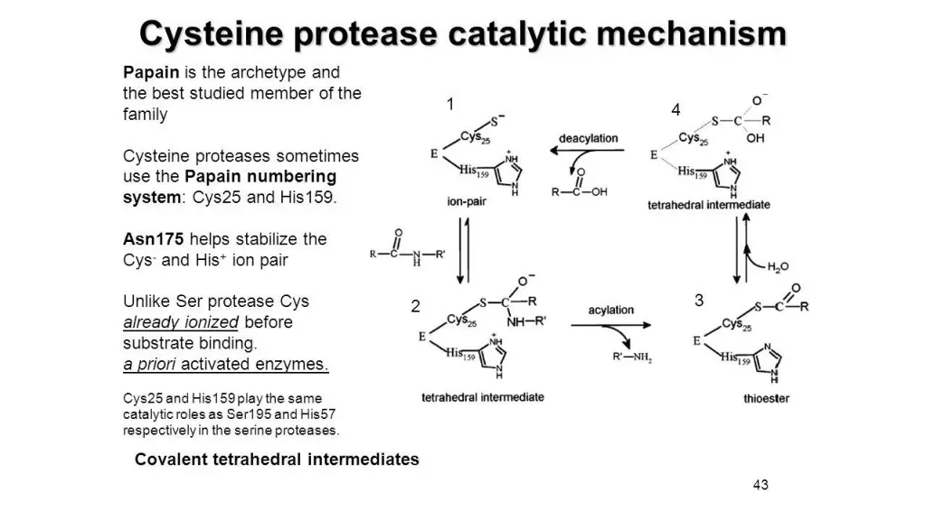 slide17