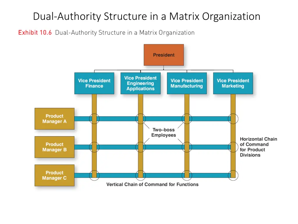 dual authority structure in a matrix organization