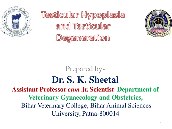 testicular hypoplasia and testicular degeneration