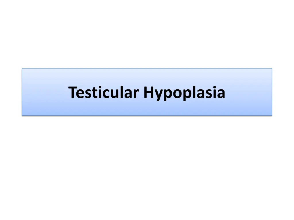 testicular hypoplasia