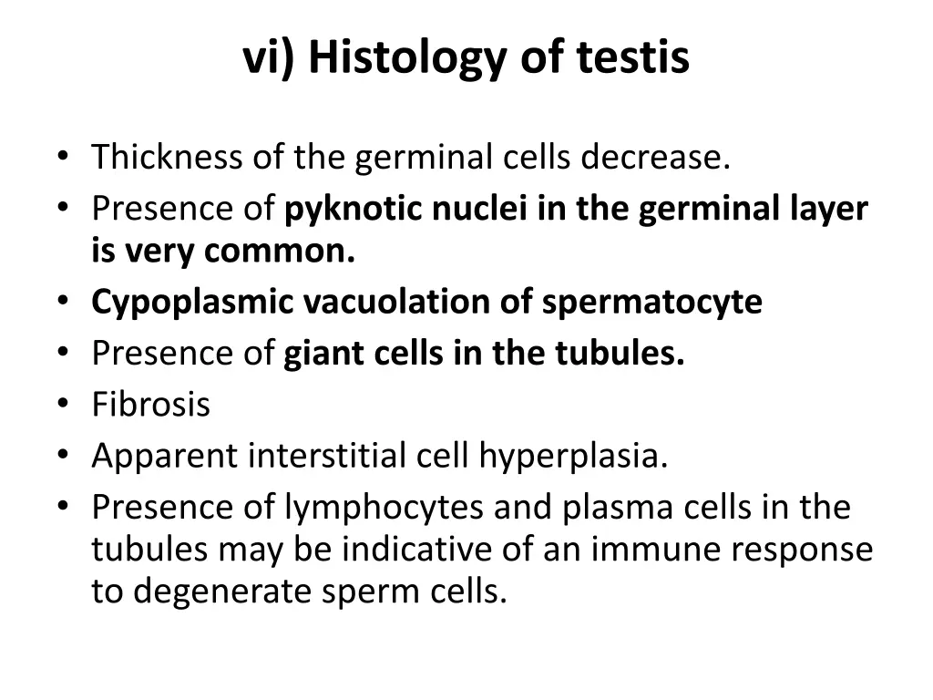 vi histology of testis