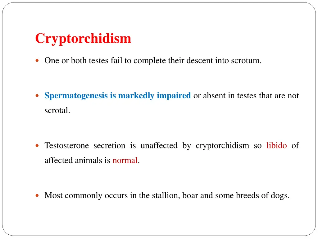 cryptorchidism