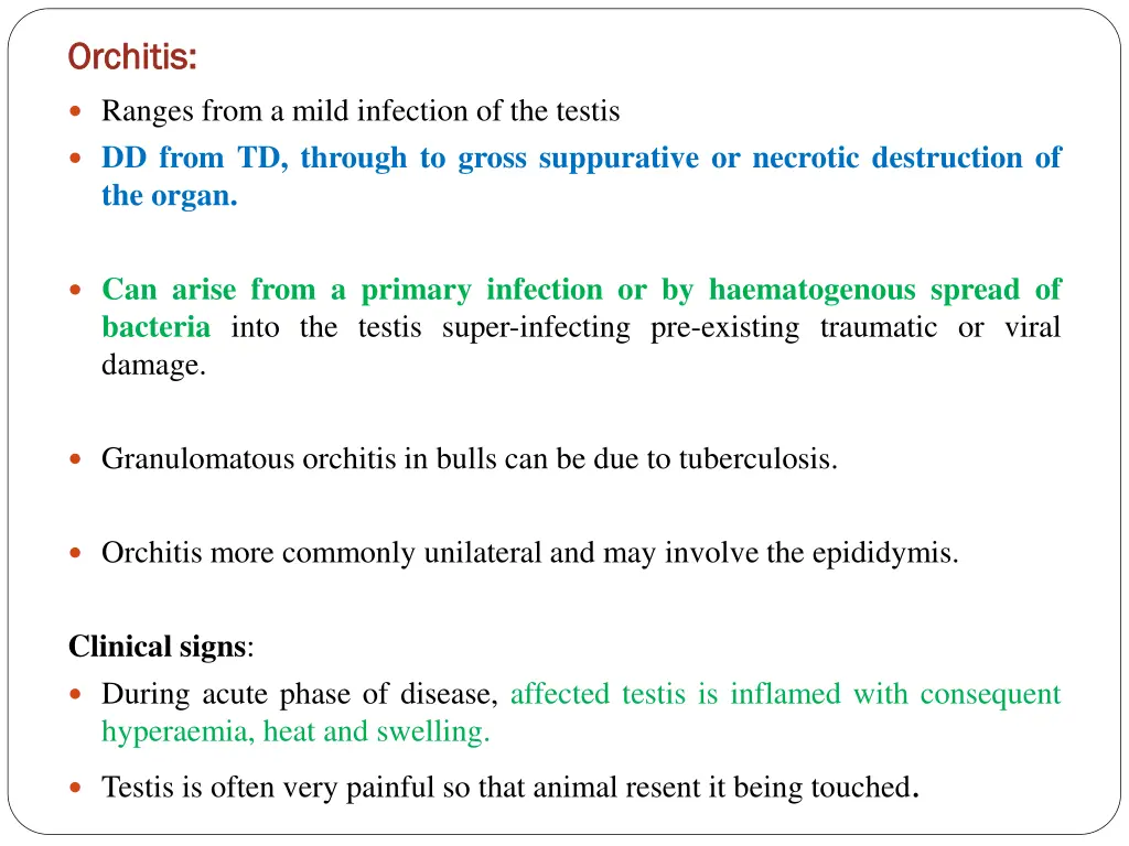 orchitis orchitis