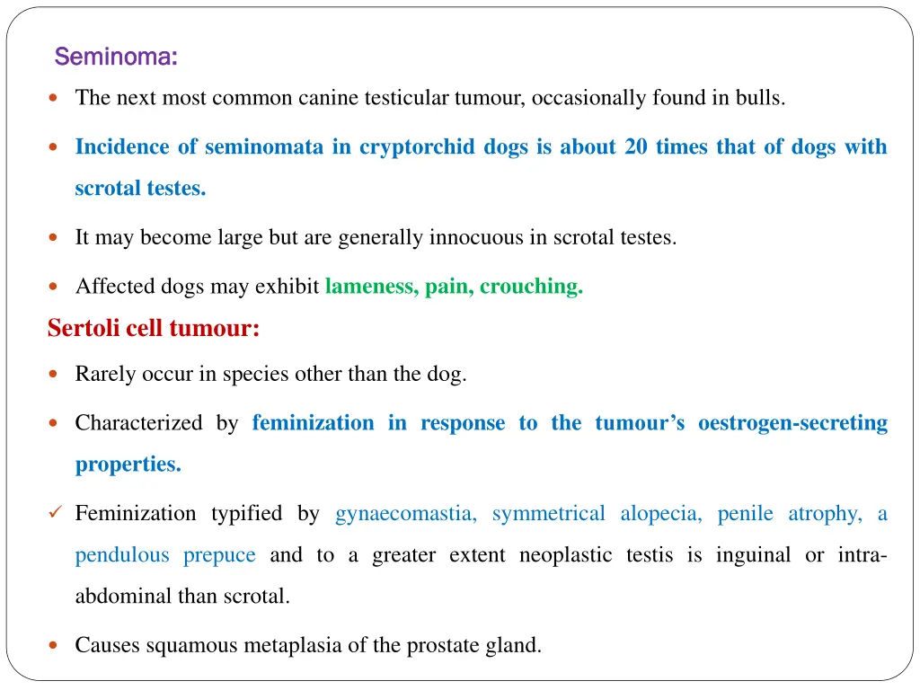 seminoma seminoma