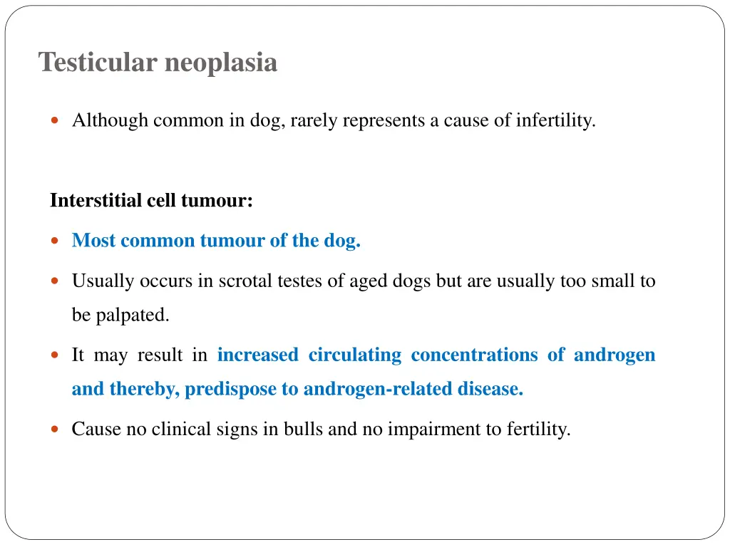 testicular neoplasia