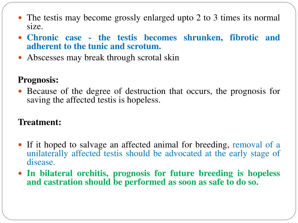 the testis may become grossly enlarged upto