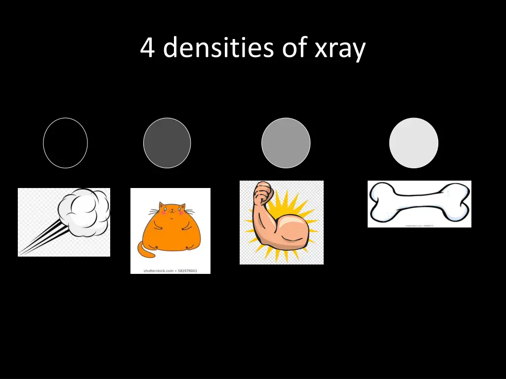 4 densities of xray