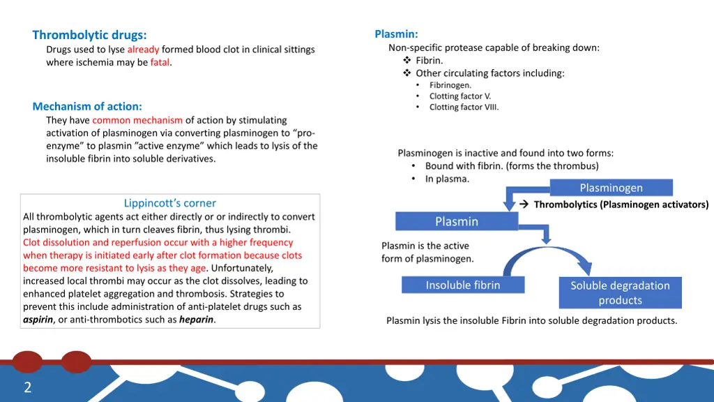 plasmin non specific protease capable of breaking