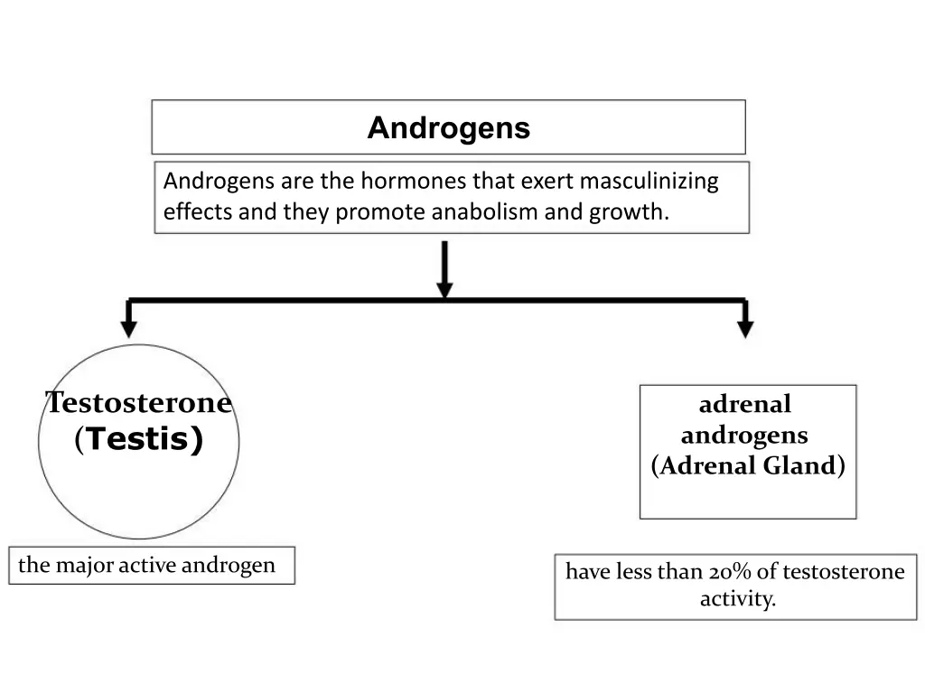 androgens