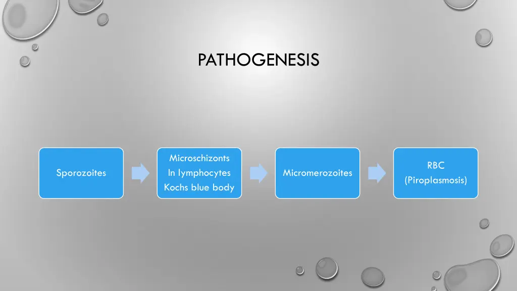 pathogenesis