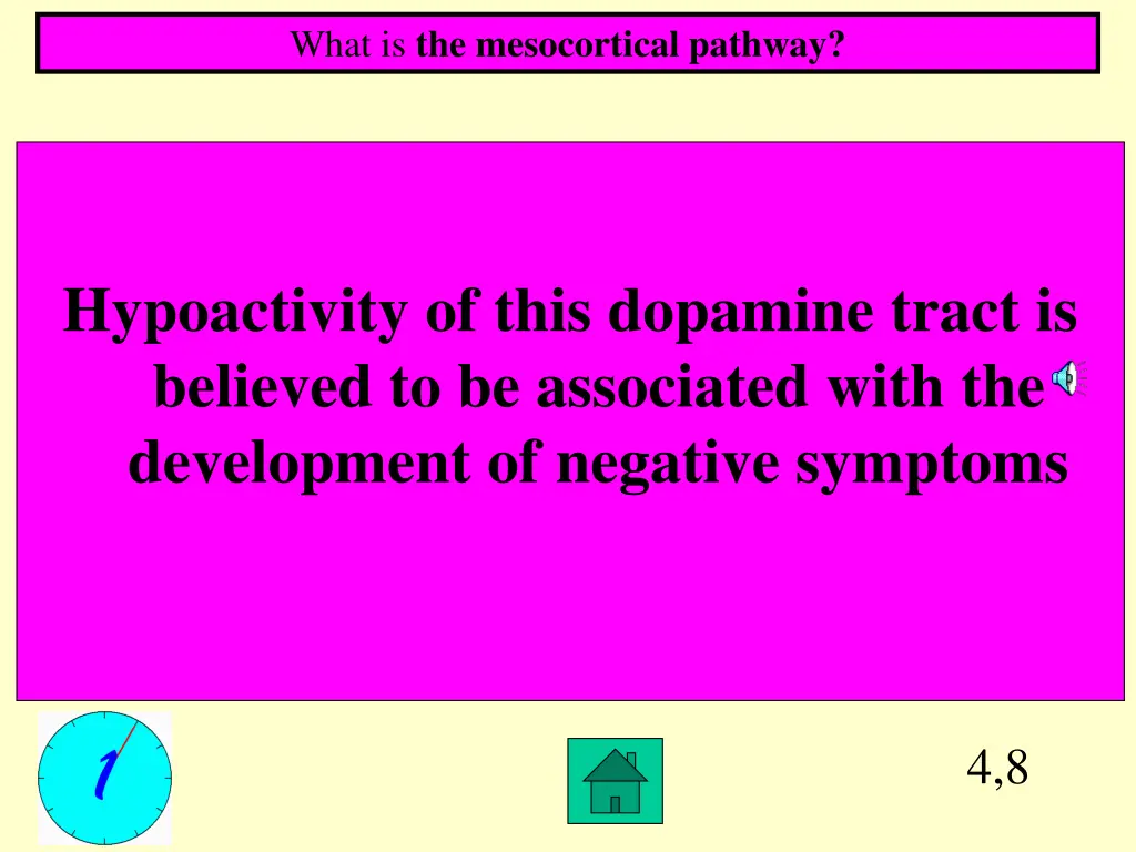 what is the mesocortical pathway