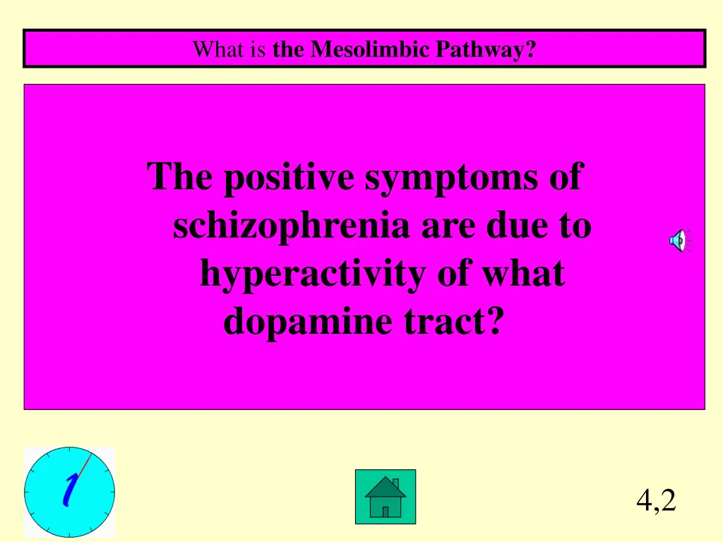 what is the mesolimbic pathway