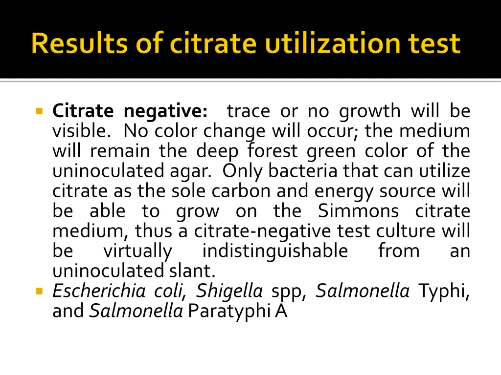 citrate negative trace or no growth will