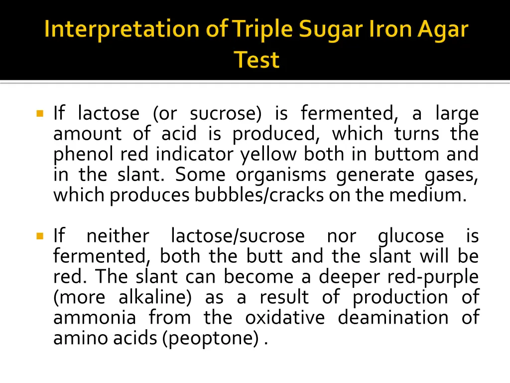 if lactose or sucrose is fermented a large amount