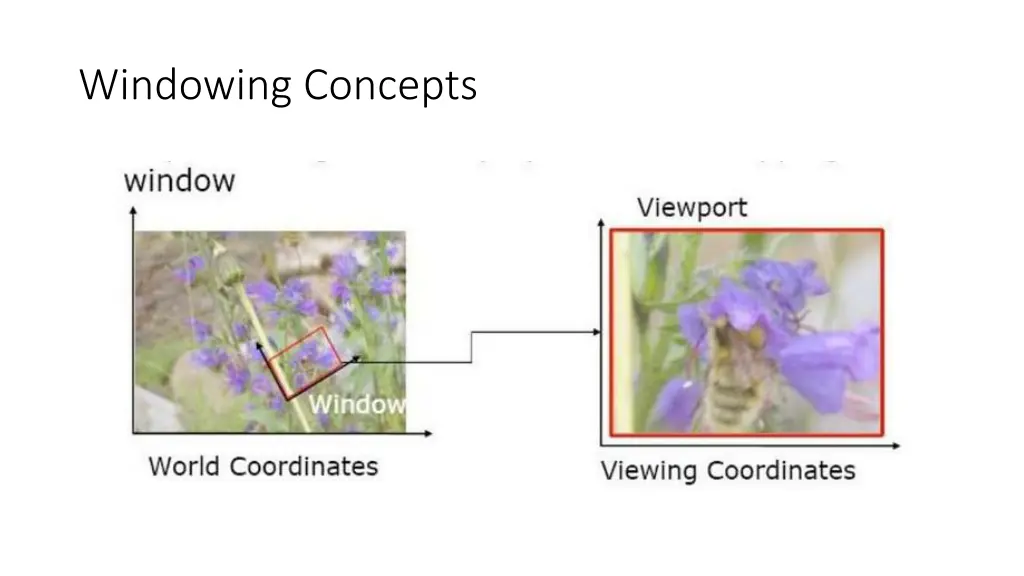 windowing concepts 1