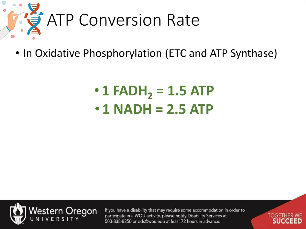 atp conversion rate