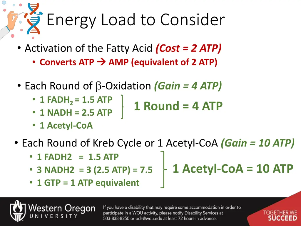 energy load to consider