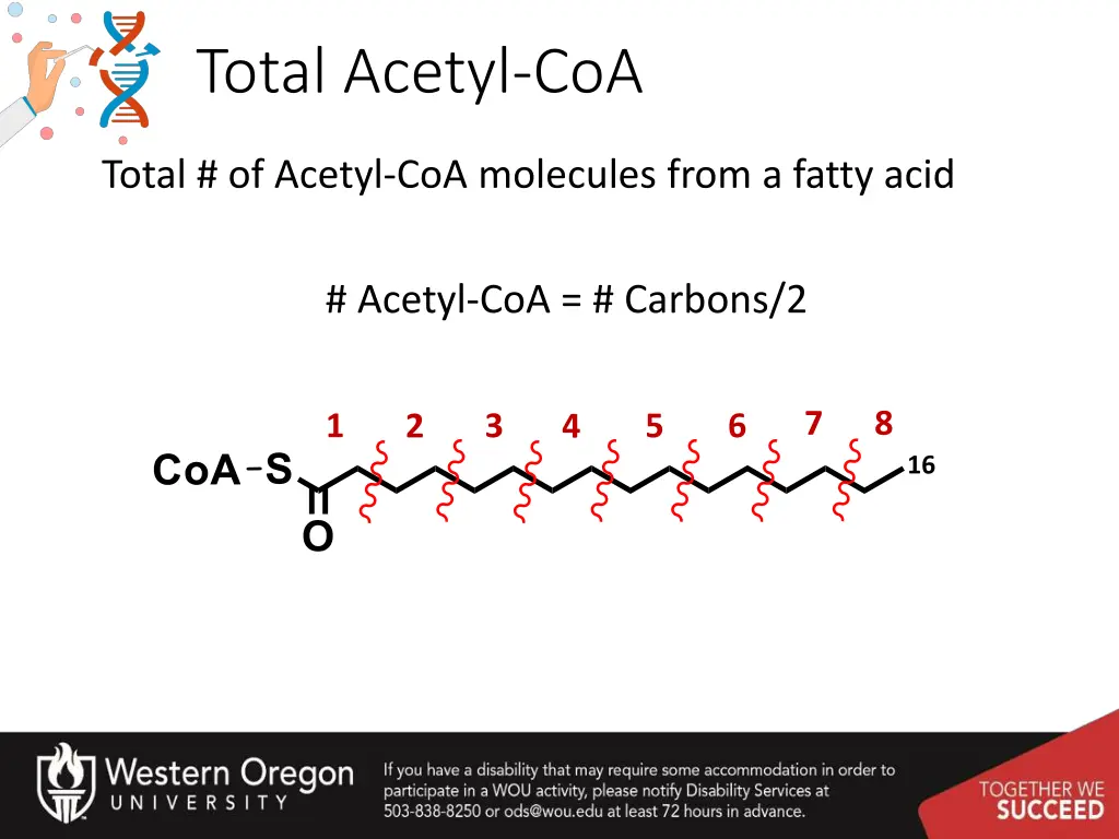 total acetyl coa