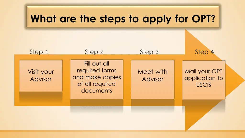 what are the steps to apply for opt