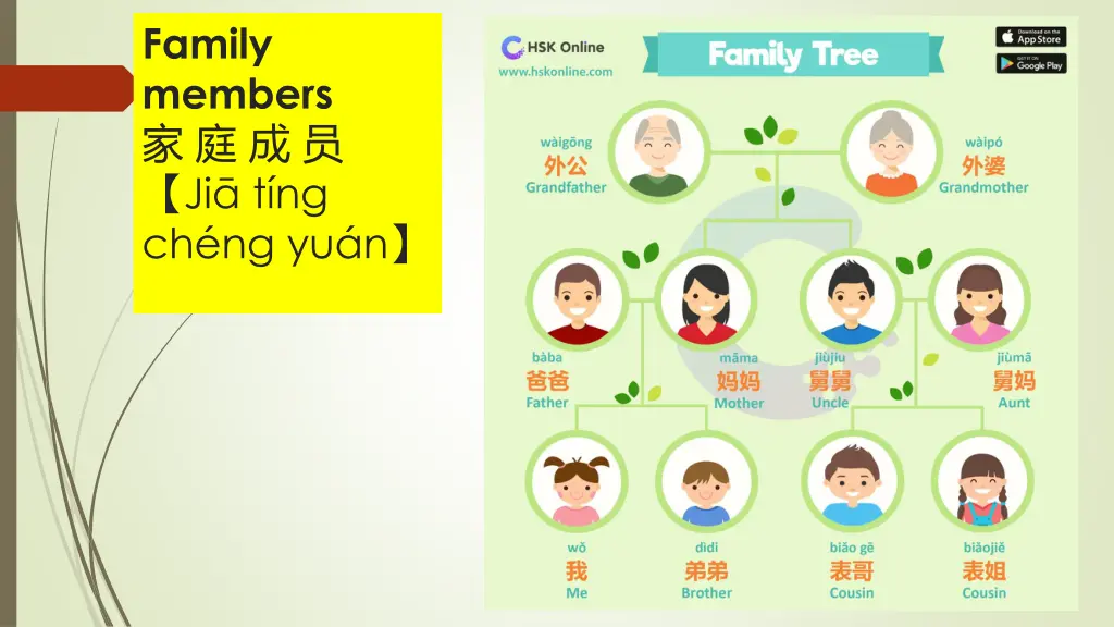 family members ji t ng ch ng yu n 1