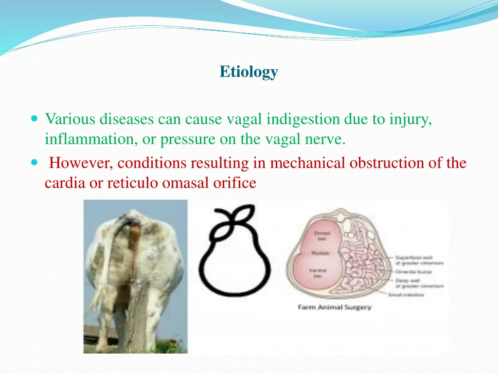 etiology