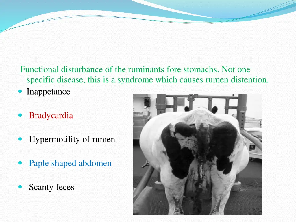 functional disturbance of the ruminants fore