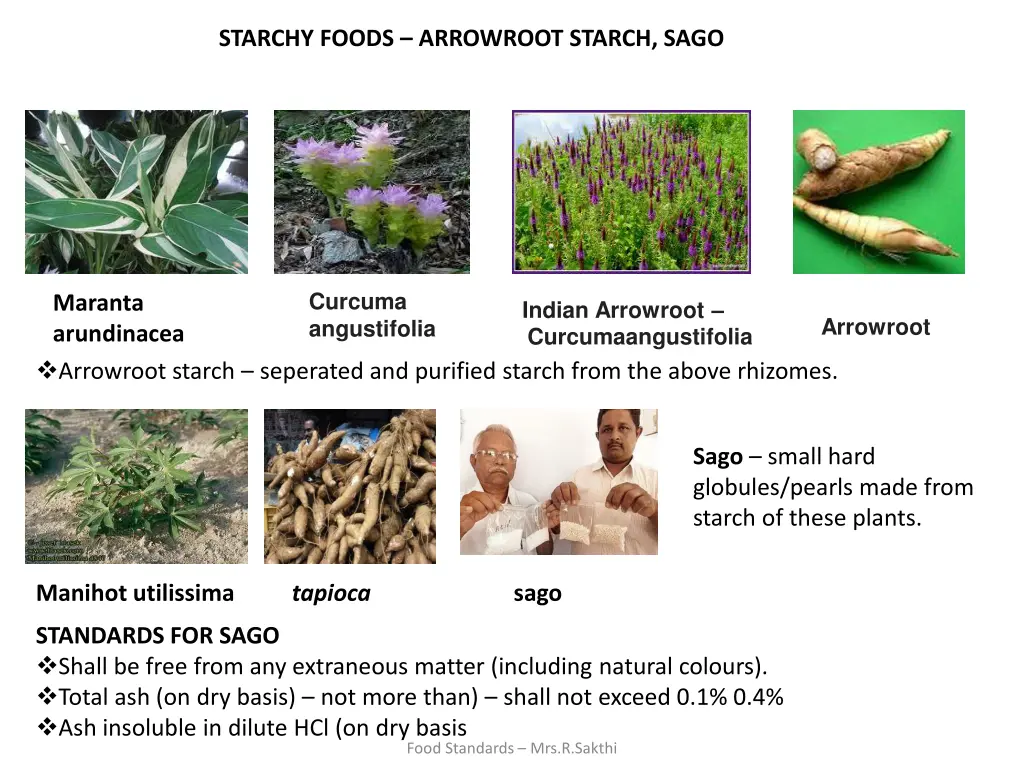 starchy foods arrowroot starch sago