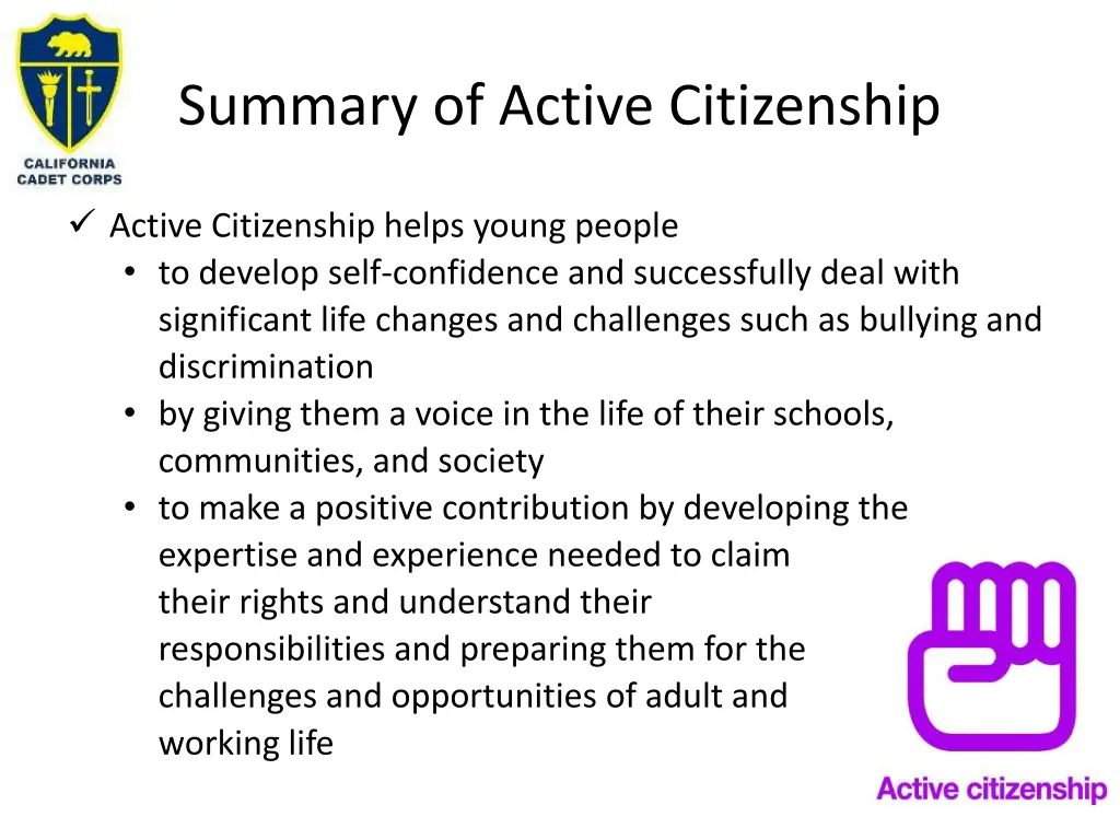 summary of active citizenship 4