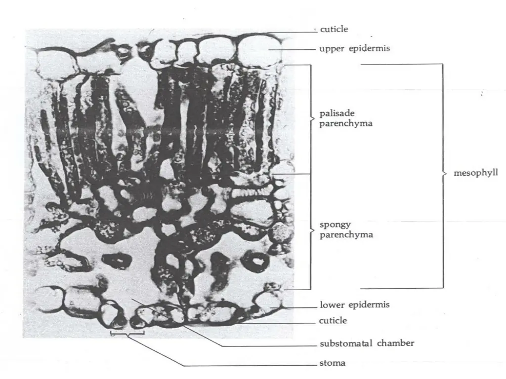 slide13