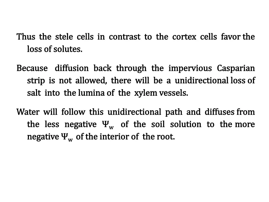 thus the stele cells in contrast to the cortex