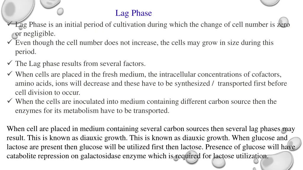 lag phase