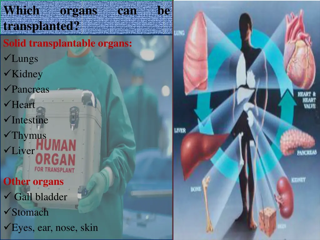 which transplanted solid transplantable organs