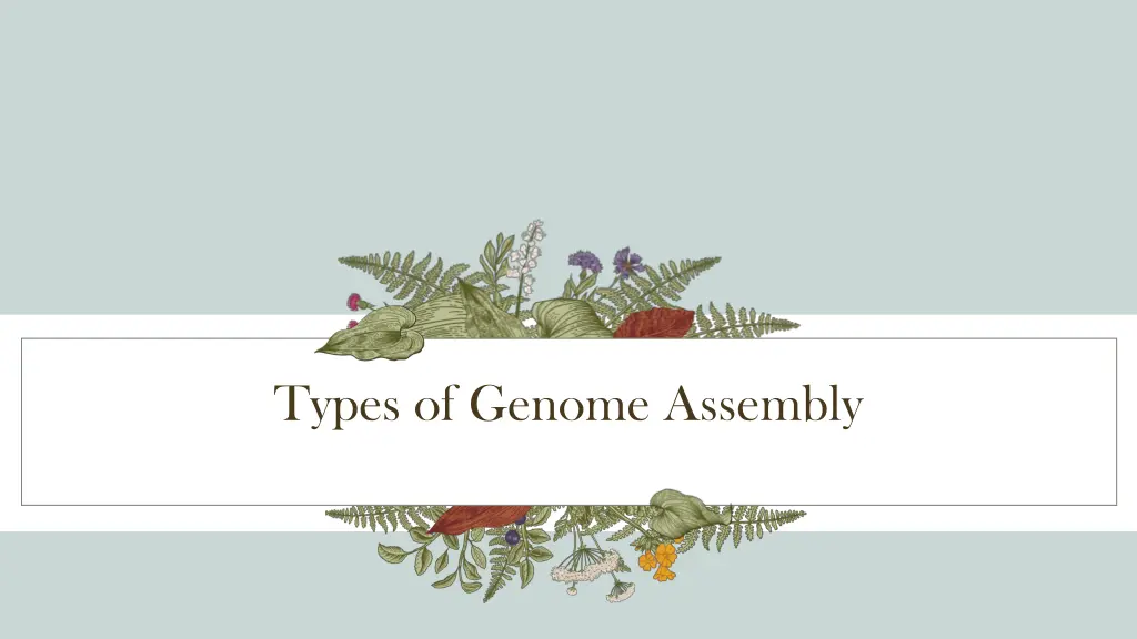 types of genome assembly