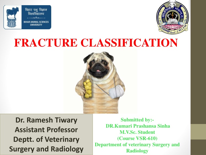 fracture classification