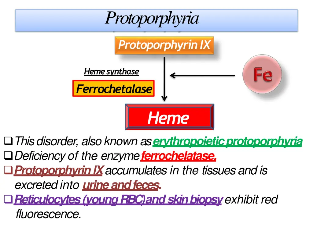 protoporphyria