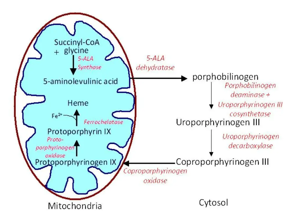 slide21