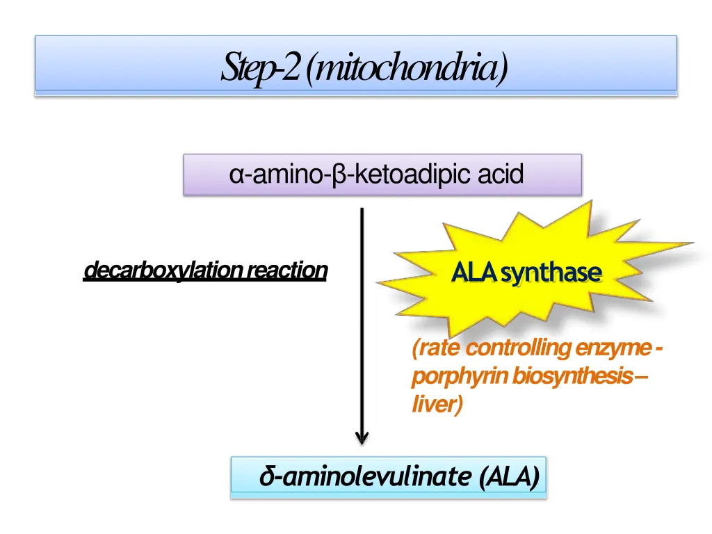 step 2 mitochondria