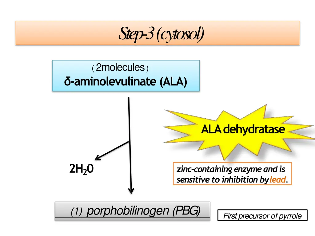 step 3 cytosol