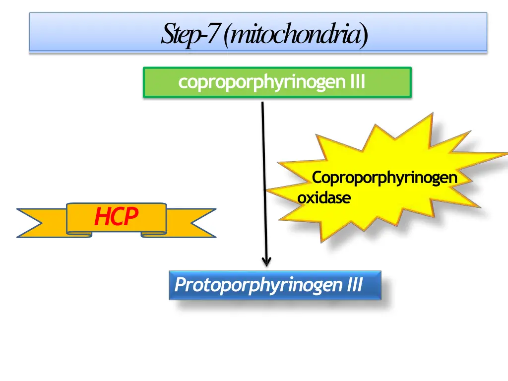 step 7 mitochondria