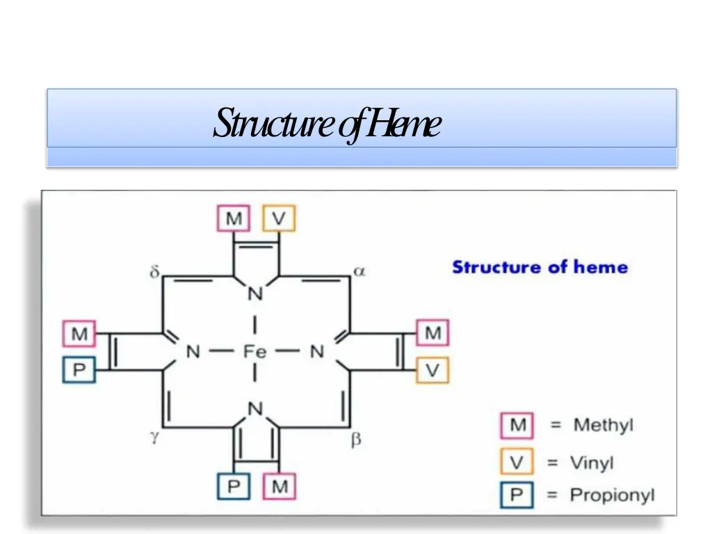 structure ofheme